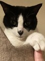 アグ ヘアー ヒルズ  宮城古川店(Agu hair hills)&nbsp;動物大好き！実家に犬猫もたくさんおります♪