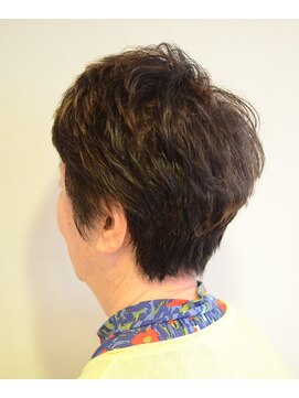 ペッツエヌエー(PETZna) ミセスショート/ヘルシースタイル@30代40代50代