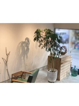 扉を開けるとそこは非日常の空間！思わず誰かに教えたくなる隠れ家のようなプライベートサロン♪