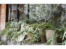 ガーランド(Garland)の雰囲気（お店の外や中にはかわいい植物たちがいっぱいです♪）