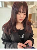 ガリカ 大名(Gallica)&nbsp;冬にぴったり暖色カラー