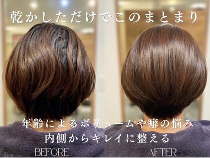 テール(TERRE)の写真