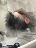 【60日以内のリピート限定】　カット + 頭皮環境の改善メニュー(フルコース)