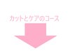 ここから下はカットとケアの組み合わせのコース
