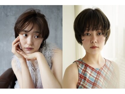 エディー(HEDI)の写真