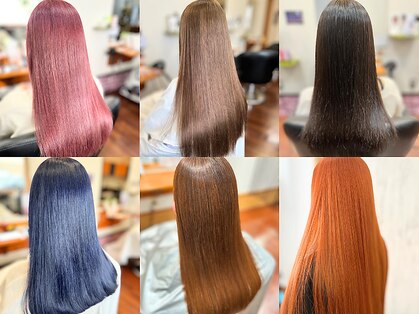 ノワール NOIRの写真