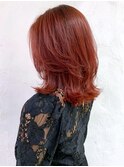 チェリーレッド_チョコレートプリカール大人ガーリー_ba308372