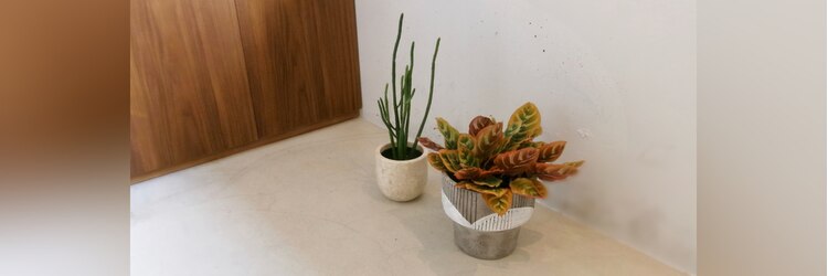 リタ(LITA)のサロンヘッダー