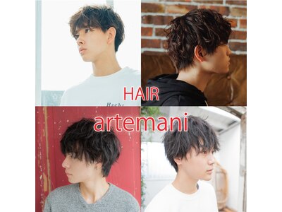 アルテマーニ 武蔵藤沢店(artemani)