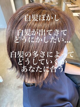 ドルセプラタ(Dulce plata) 大人可愛い外ハネボブアッシュブラウンネオウルフ20代30代40代