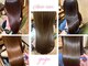 オーストヘアジジ(Aust hair Gigi)の写真