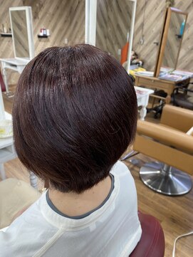 ルネッサンスヘアー ラファエロ(RAFFAELLO) 艶々グレーカラー