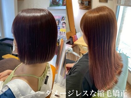 エール(Aile)の写真