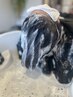 【頭皮改善抜け毛が気になる方】育毛促進ヘッドスパ＋医療提携ヒト幹細胞導入