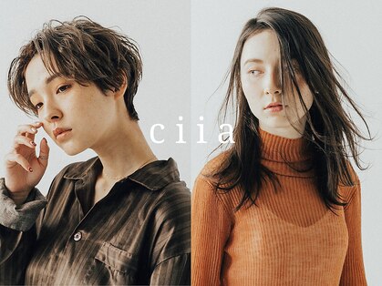 シーア(ciia)の写真