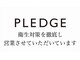 プレッジ(PLEDGE)の写真