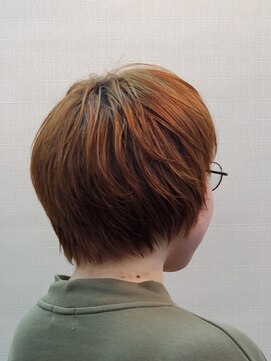 パンプキン ミディアムレイヤー