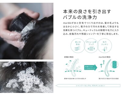 ミミ(Mimi)の写真