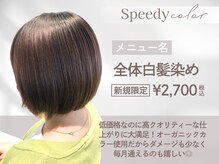 スピーディーカラー大 泉店の雰囲気（全体白髪染めは新規様価格￥2,700から！トリーメントと併用可）