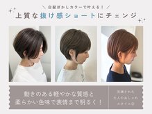 ヘアーテラス エム(hair terrace M)の雰囲気（【ショートカット/ショートヘア】×【カラー/ハイライト】）
