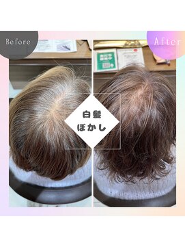 アッシュ 中山店(Ash) 【家郷限定】白髪ぼかしテクニックカラー
