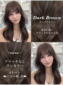 ダークブラウン　ブリーチなし　レイヤー