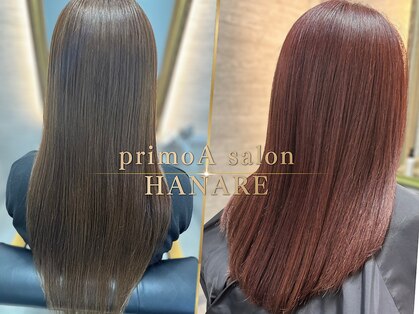 プリモア サロン ハナレ 綾瀬(primoA salon HANARE)の写真
