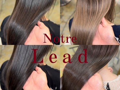 ノーリード(notre Lead)の写真