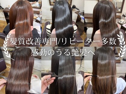 コトナ(kotona)の写真