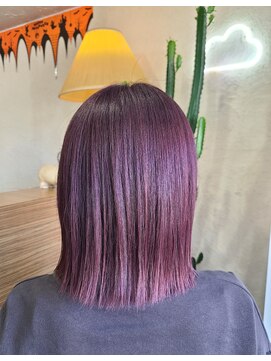 カラーズ(THE COLORS) ヴァイオレットカラー