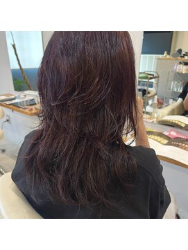 コネクト(conect) layer bold