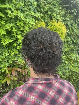 ソイルアヴェダ(Soil AVEDA) ウルフツイストスパイラル