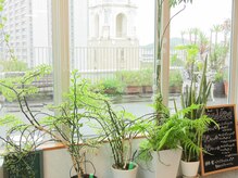 カール イル ムゼオの雰囲気（シャンプー台からの景色を是非見に来てください！）