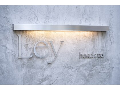 レイ(Ley)の写真