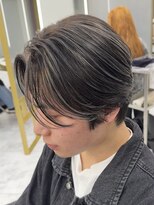 シルバーメッシュ