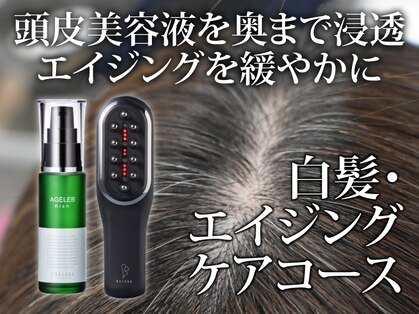 ルルン(Lu-Lun)の写真