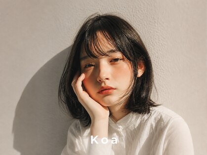 コア(Koa)の写真