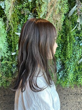 ノーブルヘアー(NOBLE HAIR) ブラウン