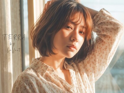 テラバイルヴェール 各務原(TERRA by LeVert)の写真