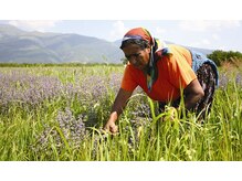 原材料について 2