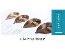 ファンヘアメイク(Fun hair make)の雰囲気（白髪に悩んでいる方は是非一度ご相談下さい。）