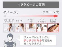 髪1本でもダメージには差があります！特に毛先は思っているより過去のダメージが蓄積されているかも！？