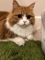エルエム(L/M) 愛猫　はんぺん