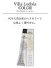 お試し価格!ヴィラロドラ☆全体カラー(白髪染め)+コートTR¥9,350→¥7,400