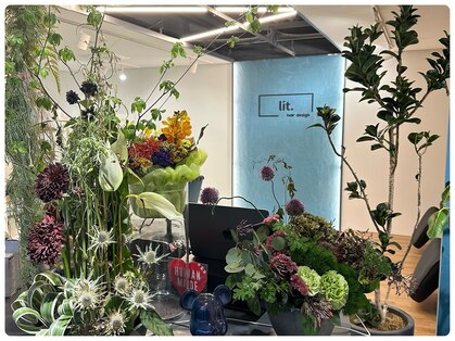 リット(lit.)の写真