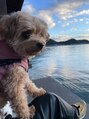 ラックスビー スカイ 大阪梅田店(LUXBE SKY) 休日はワンコと♪犬と出かけれるオススメのスポット知ってます☆