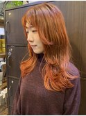 アプリコットオレンジ◎