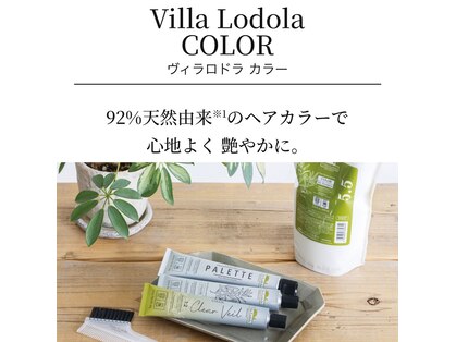 カットインファーチェ CUT IN faceの写真