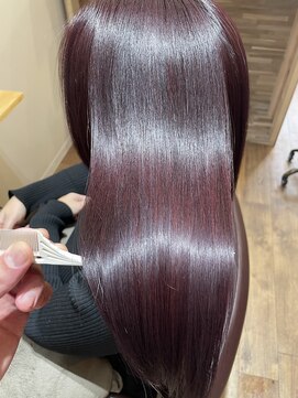 リーアイ(R-ee-i) ボルドールビー 艶髪ロング