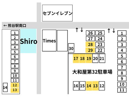 シロ(Shiro)の写真